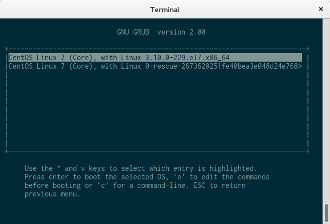 Grub loaded with configuration